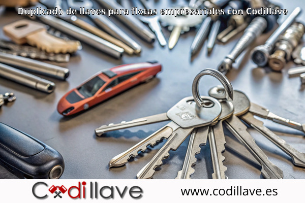 Duplicado de llaves para flotas empresariales con Codillave