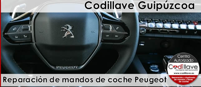 reparacion de mandos de coche peugeot guipuzkoa