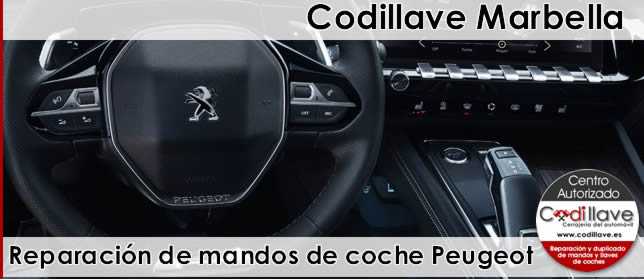 reparacion de mandos de coche peugeot marbella
